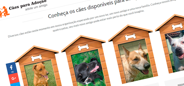Conheça mais sobre o abrigo Cães para Adoção