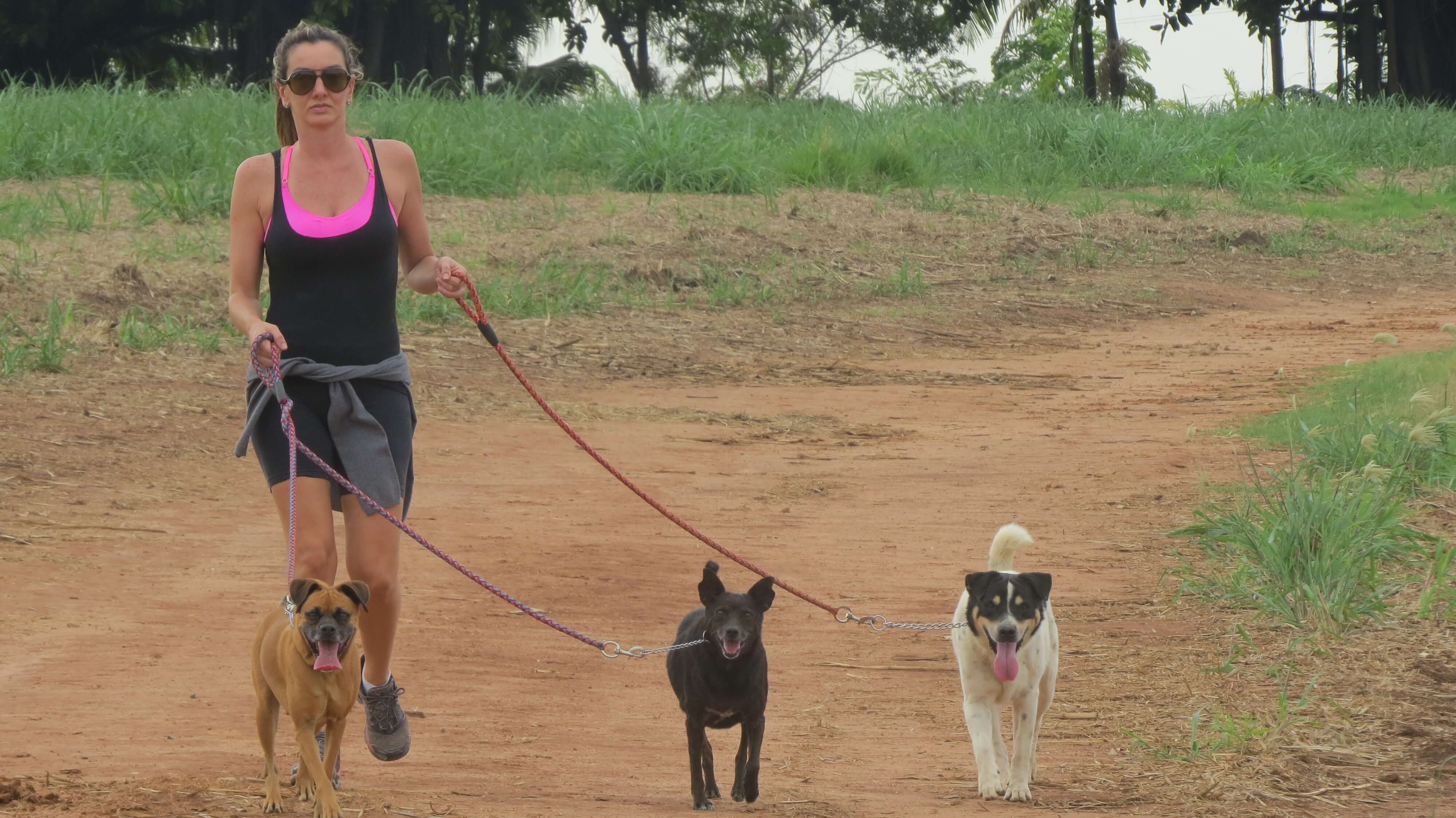 Caminhada Solidária