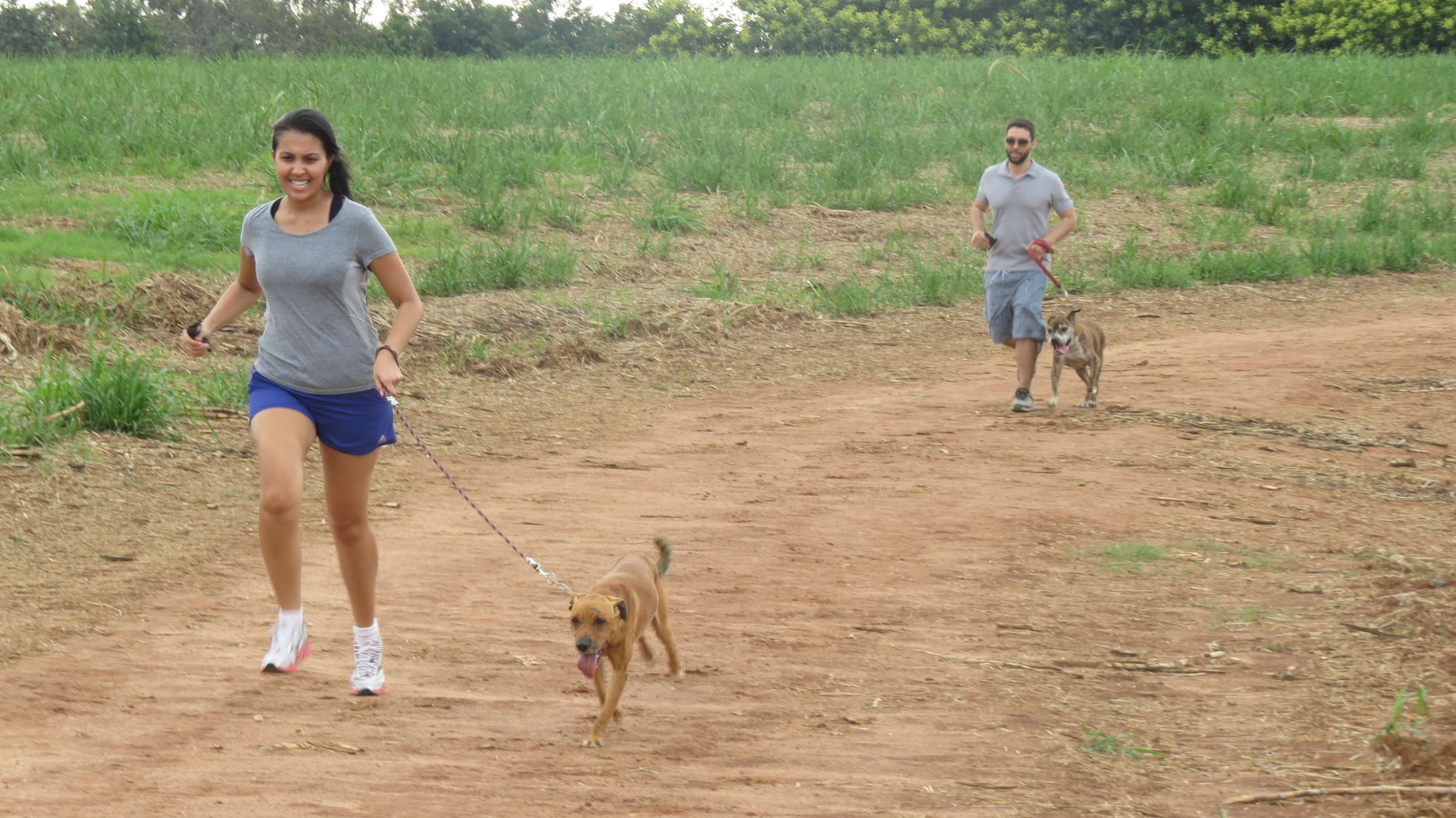 Caminhada Solidária