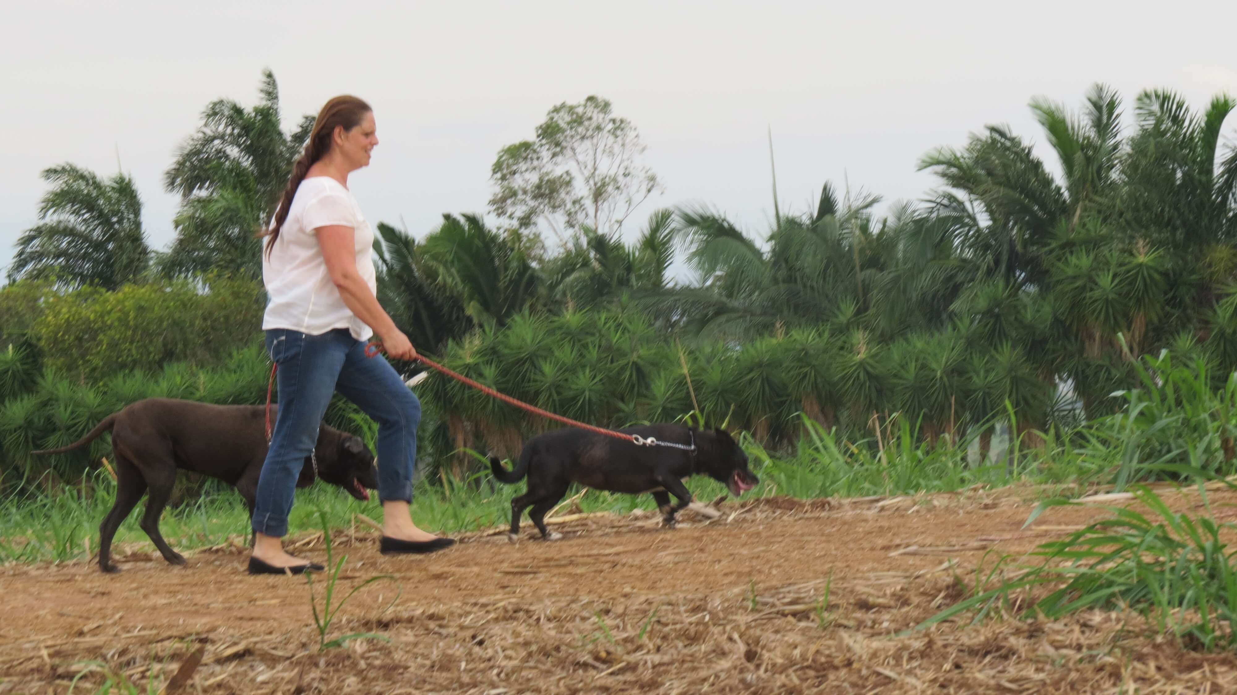Caminhada Solidária