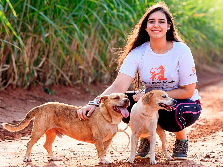 Cães para Adoção